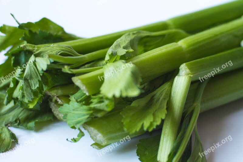 Celery Green Food Vegetable Healthy