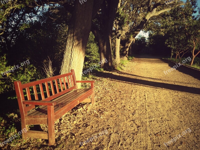 Calm Bank Meditation Seat Loneliness