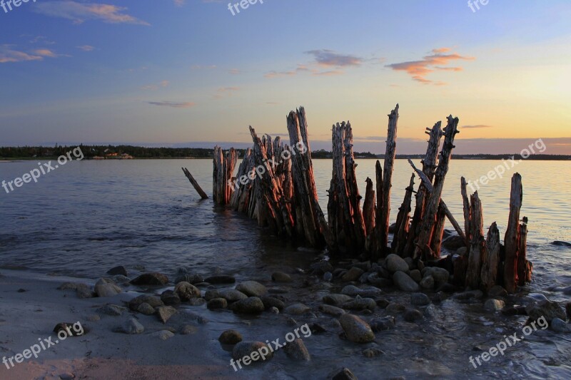 Pilings Dock Water Pier Harbor