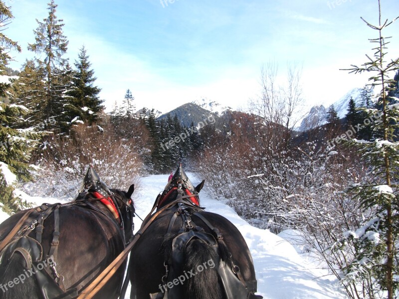 Ortisei Trentino Walk On Sled Free Photos