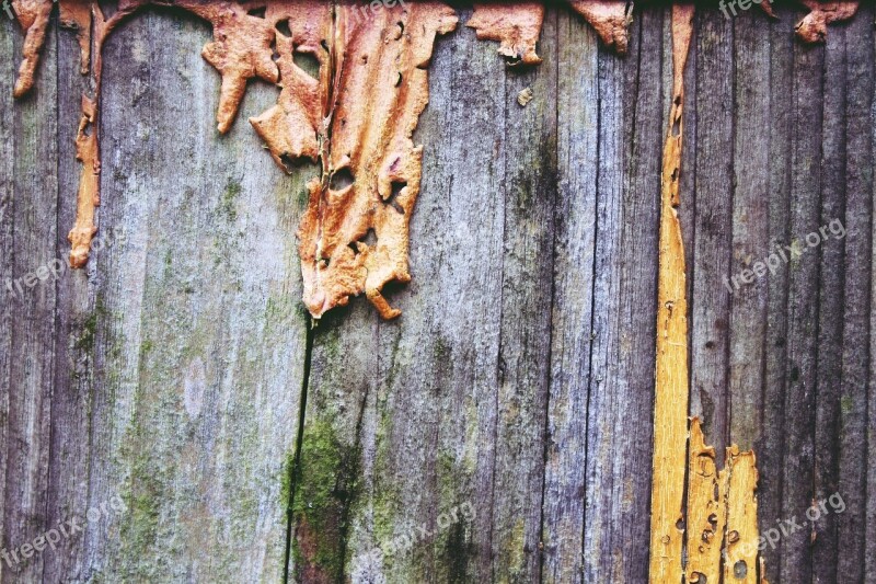 Wood Flake Weathered Old Wall