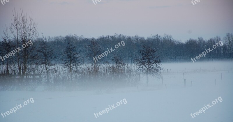 Fog Landscape Winter Snow Nature