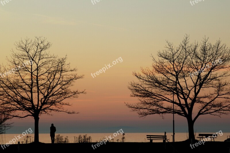 Lake Constance Evening Alone Lonely Lake