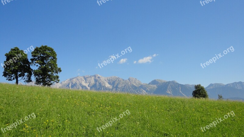 Dachstein Ennstal Ramsau Summer Meadow