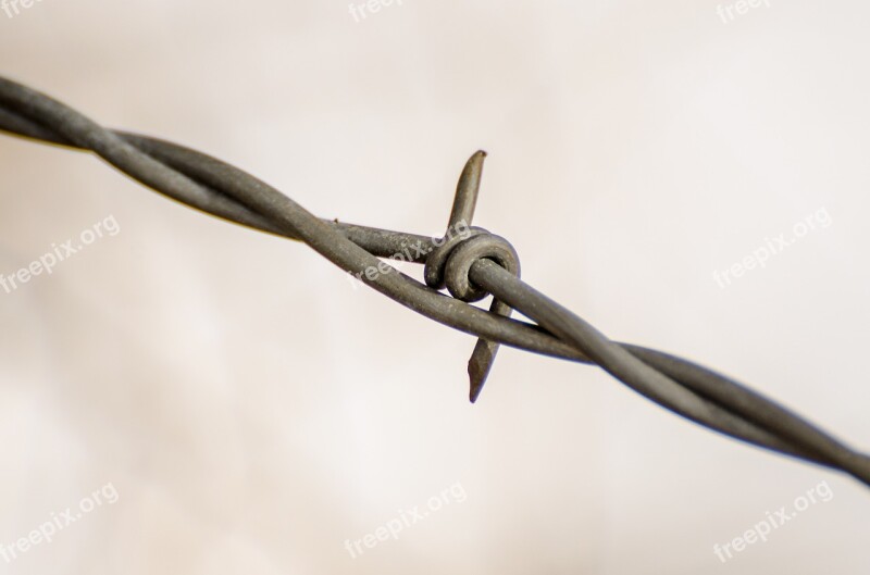 Wire Fence Barbed Wire Ranch Rustic