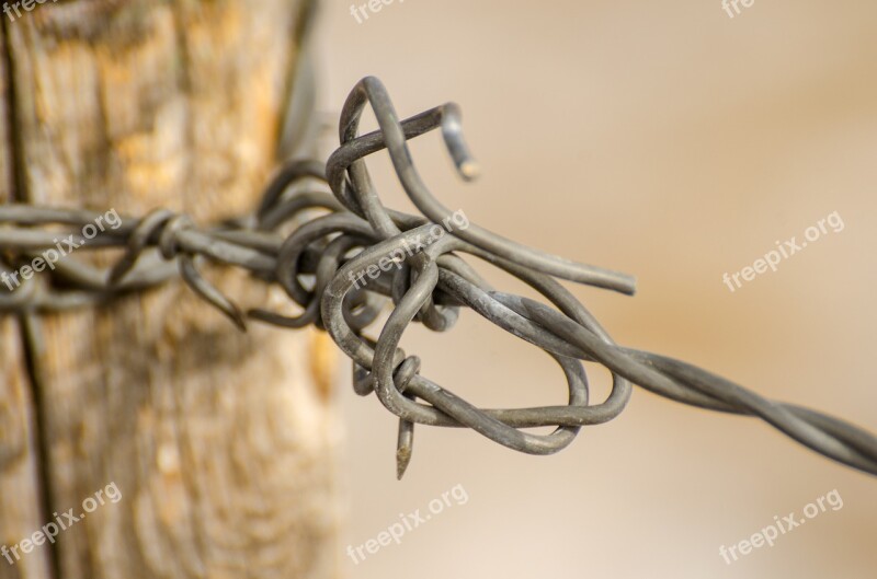 Wire Fence Barbed Wire Ranch Rustic