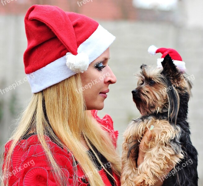 Santa Claus Dog Woman Portrait Yorkshire Terrier