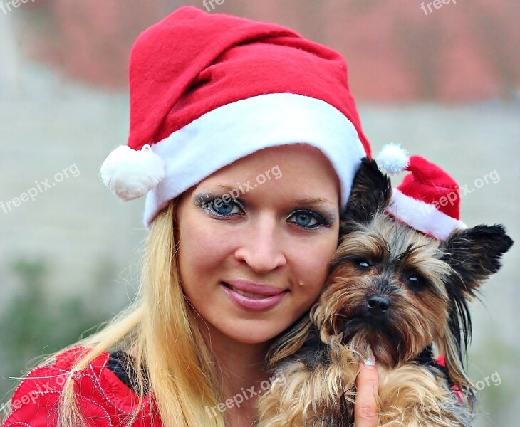 Santa Claus Dog Woman Portrait Yorkshire Terrier