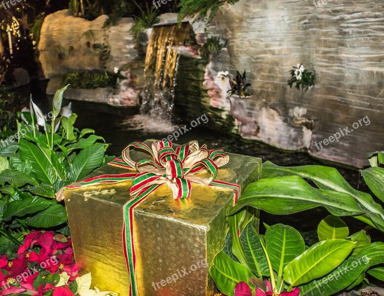 Gaylord Palms Garden Waterfall Poinsetta Holiday