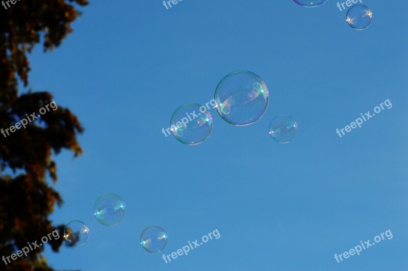 Soap Bubbles Colorful Balls Soapy Water Make Soap Bubbles