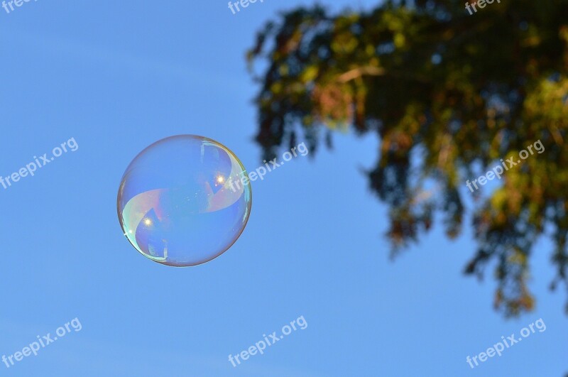 Soap Bubbles Colorful Balls Soapy Water Make Soap Bubbles