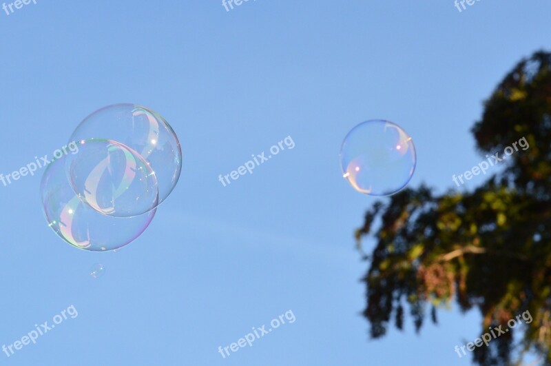 Soap Bubbles Colorful Balls Soapy Water Make Soap Bubbles