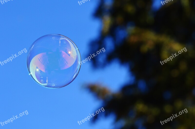 Soap Bubble Colorful Balls Soapy Water Make Soap Bubbles