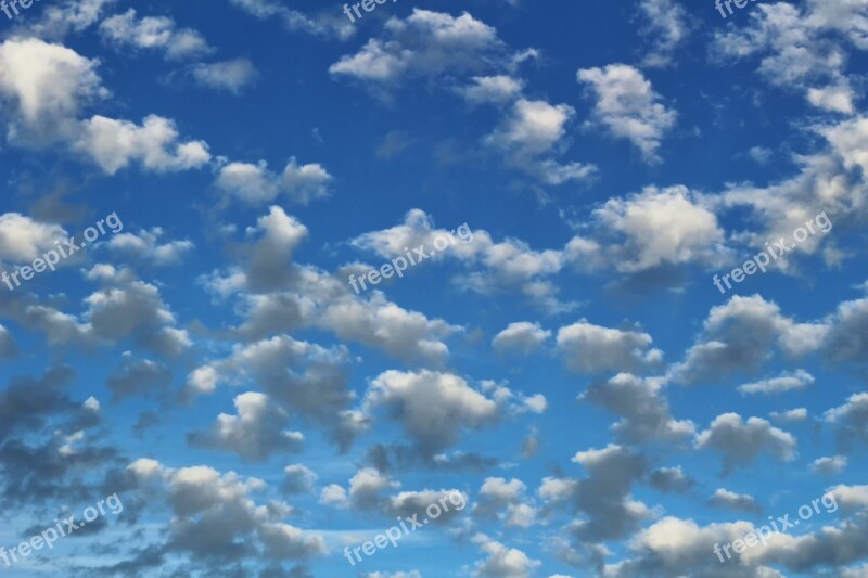 Clouds Sky Clouds Clean Blue Sky Free Photos