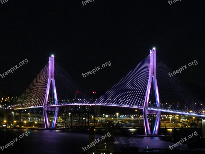 Bridge Night View Bridge Illumination Sea The Night Sea