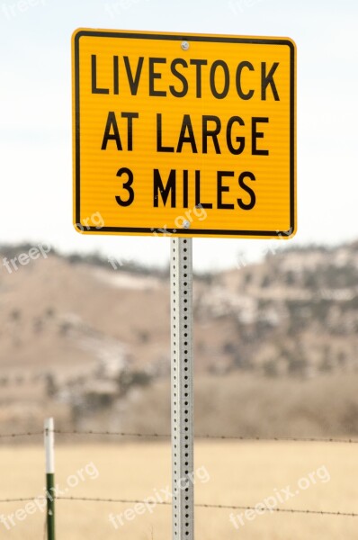 Road Sign Sign Livestock At Large Livestock Cattle