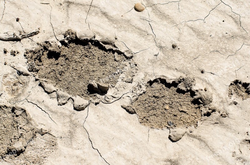 Footprint In Mud Muddy Footprint Dried Mud Mud Tracks