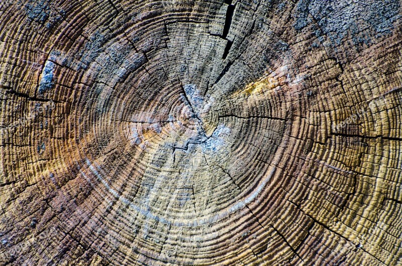 Wood Texture Wooden Plank Cracks Circle Pattern Background