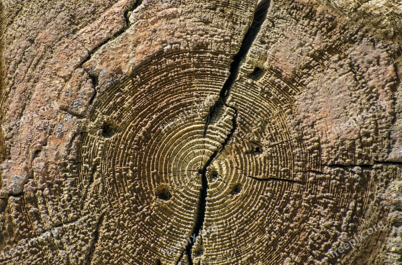 Wood Texture Wooden Plank Cracks Circle Pattern Background