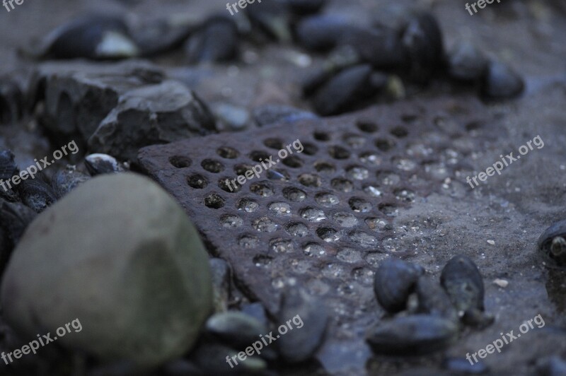 Grate Rust Through The Hole Stone Beach