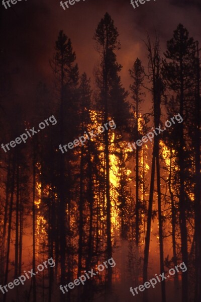 Wildfire Forest Fire Blaze Smoke