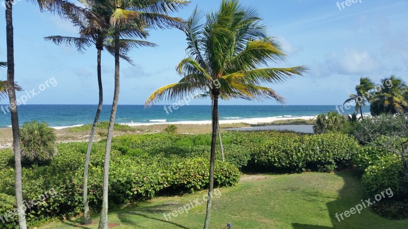 Beach Tropical Tropical Beach Ocean Sky