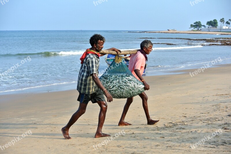 Catch Fish Fishermen Beach India