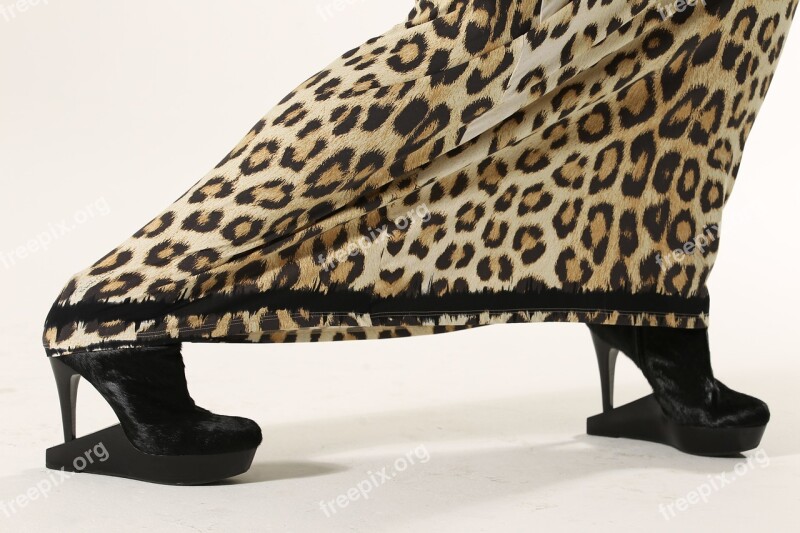 Model Dress Animal Print High Heals Glamour