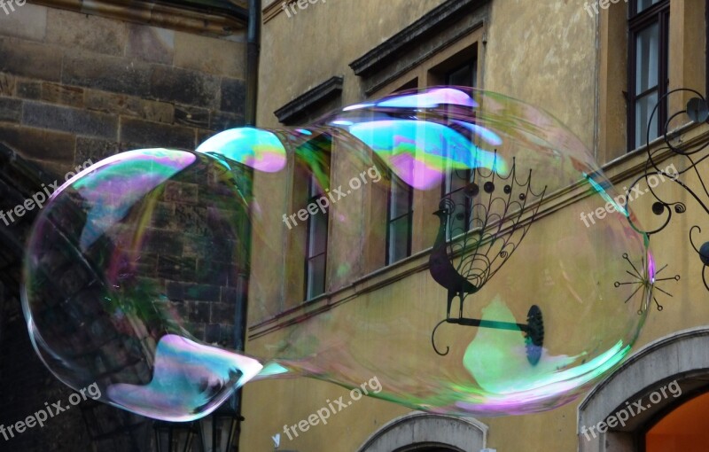 Bubble Bubbles Soap Let Bubble Reflection