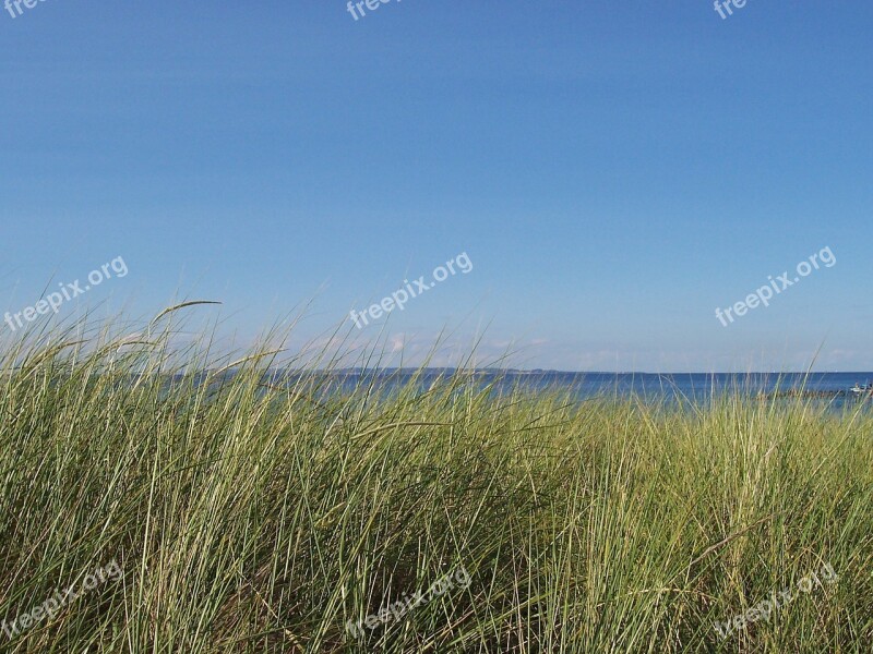 Lake Beach Grass Michigan Summer