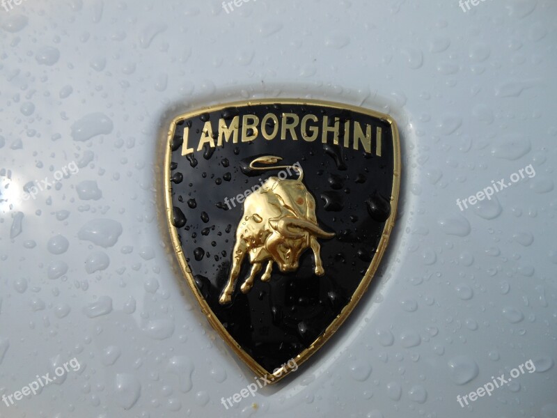 Lamborghini White Emblem Logo Vehicle