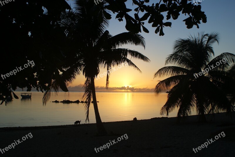 Tahiti Sunset Sun Evening Palms