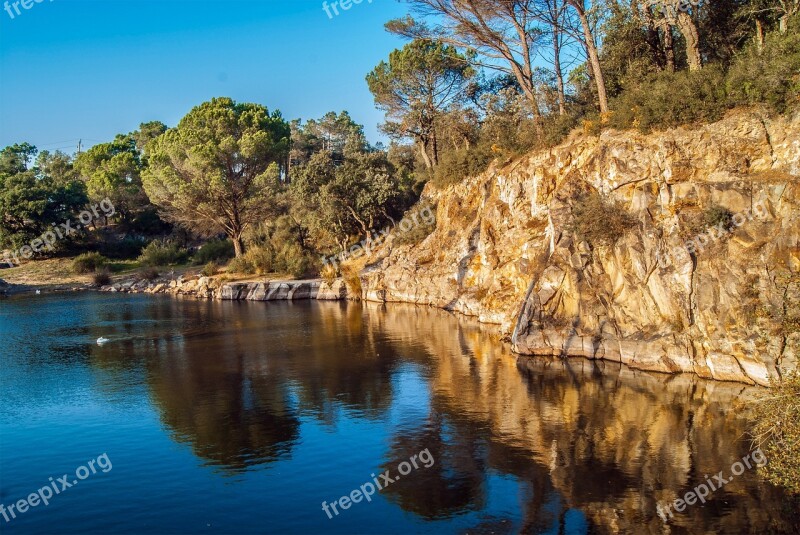 Highlights Natural Landscape Trees Pond Free Photos