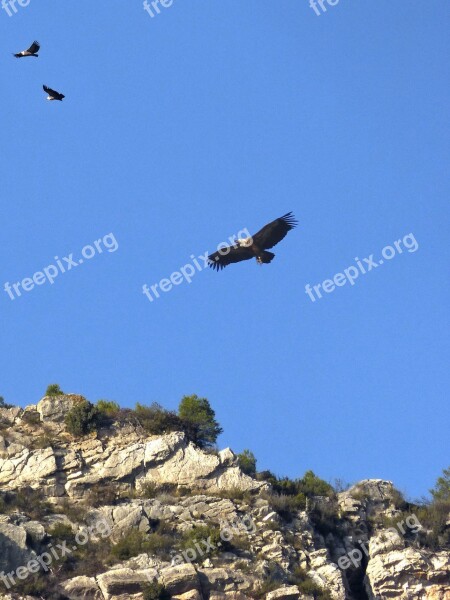 Vultures Hill Priorat Montsant Free Photos