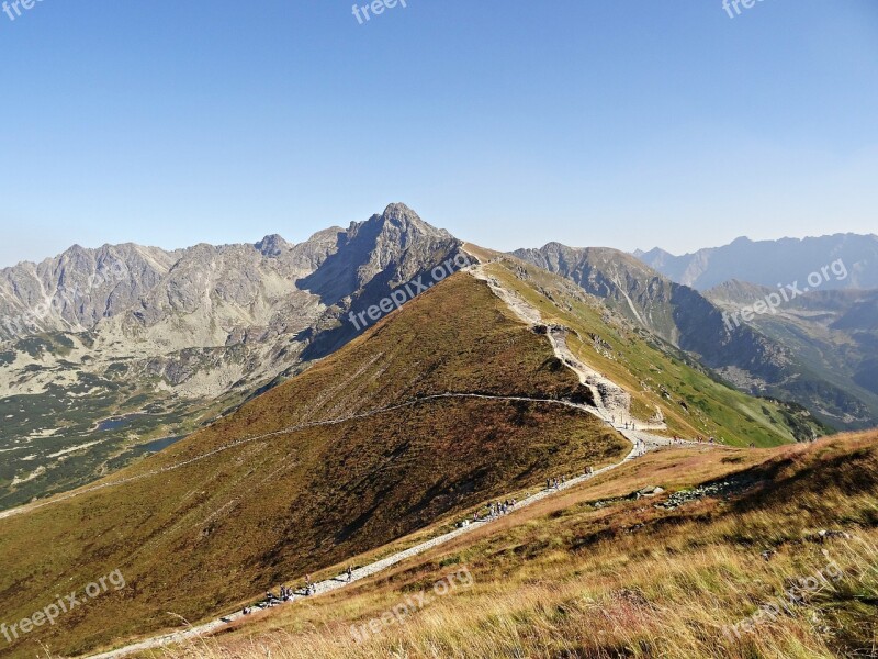 Mountains Forest Panorama View Landscape