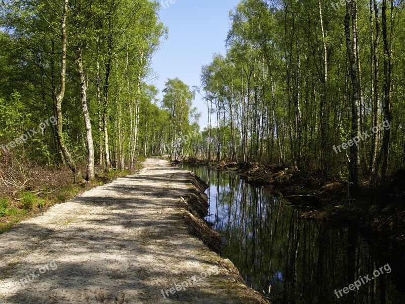 Moor Water Birch Dig Nature Reserve