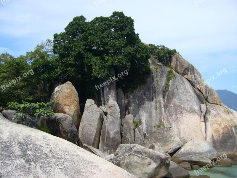 Rock Star Grandmother Rock The Island Free Photos