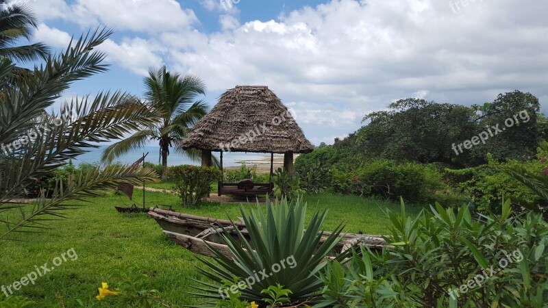 Africa Zanzibar Hakuna Matata Beach Tropics