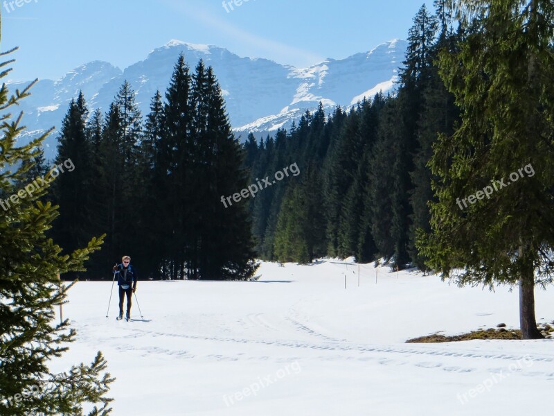 Skiing Cross Country Skiing Ski Winter Mountains