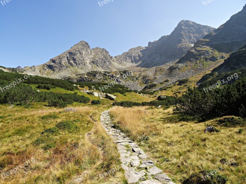 Mountains Forest Panorama View Landscape