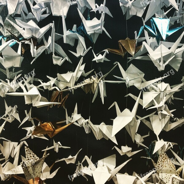 Peace Cranes Origami Paper Folding Bird Crane