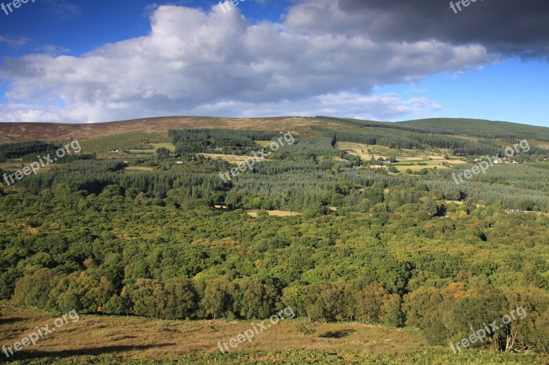 Glencree Woodland Wicklow Ireland Nature Ireland