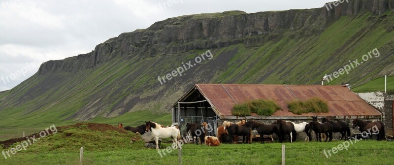 Iceland Icelandic Nature Outdoor Scenery