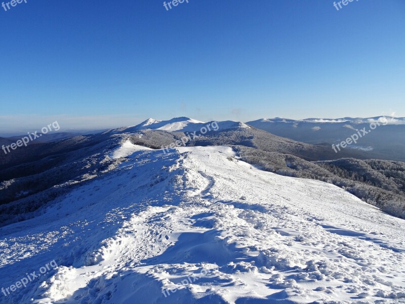 Mountains Forest Panorama View Landscape