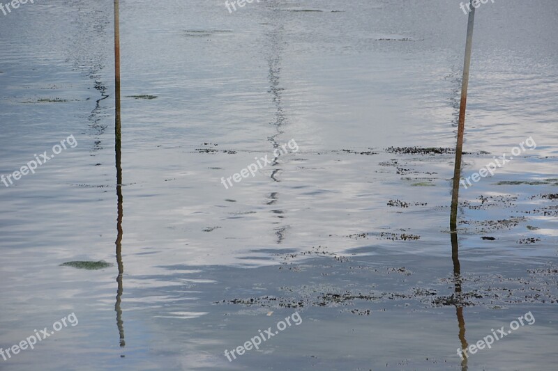 Reflections Water Nature Fall Water Plan