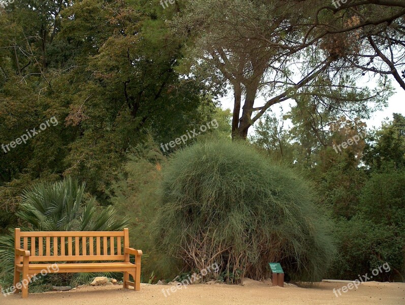 Montjuic Barcelone Bench Barcelona Park