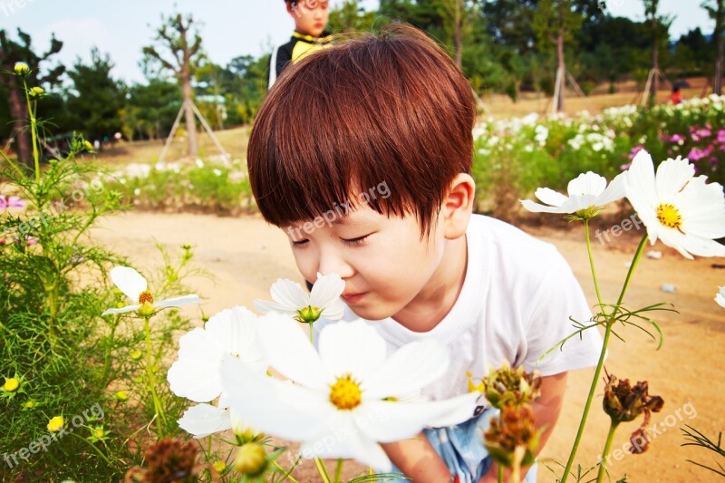 Boy Odor Baby Cotton Festival