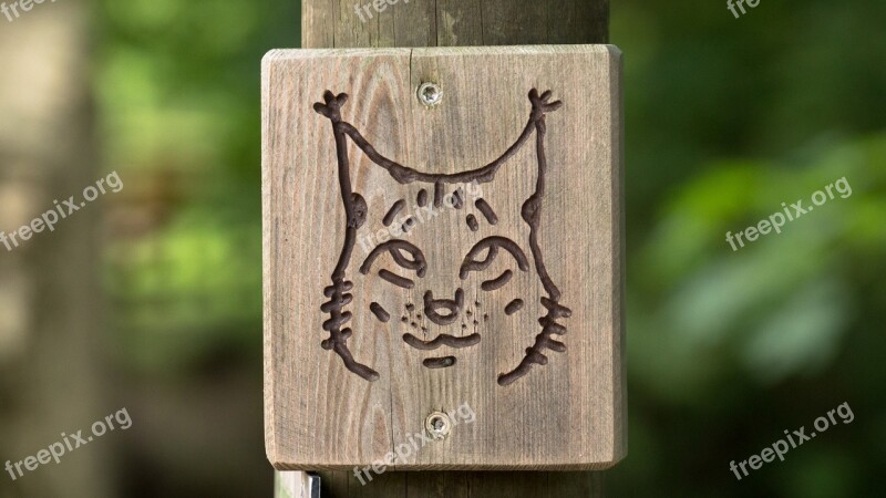 Lynx Signpost Waypost Waymark Wood