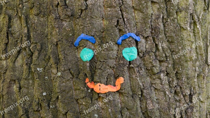 Tree Face Park Happy Cheerful