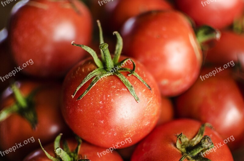 Tomato Tomatoes Vine Food Red